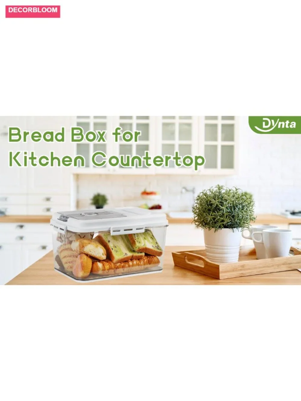 Large Airtight Bread Box with Magnetic Lid and Date Dial